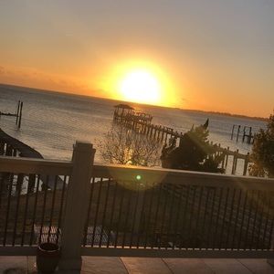 Meet your Posher, Riley